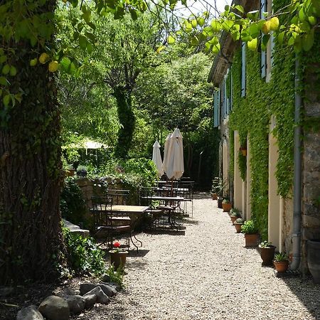 Gîte Eloi Merle Olonzac Extérieur photo